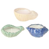 categoria Candele profumate