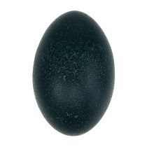 categoria Uova e uova di Pasqua