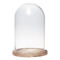 categoria Vasi di vetro