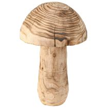 categoria Fogliame, foglie e funghi
