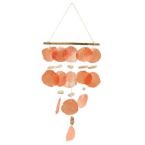 categoria Decorazione a conchiglia