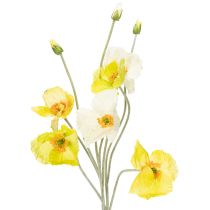 categoria Fiori da giardino e fiori di campo