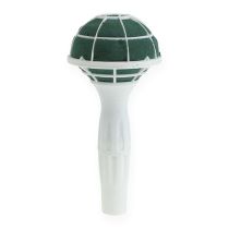 categoria Forme rotonde in schiuma floreale