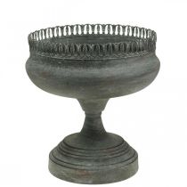 categoria Coppa antica