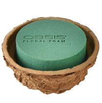 categoria Forme rotonde in schiuma floreale