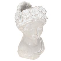 categoria Coprivasi in ceramica