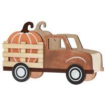 categoria Articoli decorativi per l'autunno