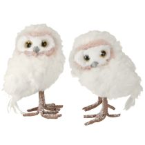 categoria Figurine di gufo e riccio