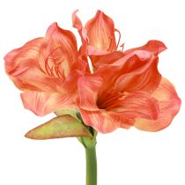 categoria Fiori di seta e abete 