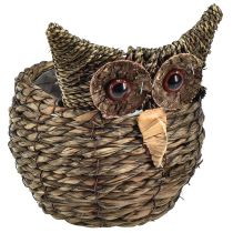 categoria Figurine di gufo e riccio