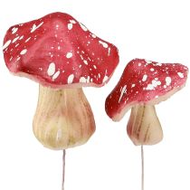 categoria Fogliame, foglie e funghi