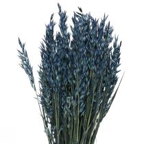Fiori secchi, decorazione di chicchi secchi di avena blu 68 cm 230 g