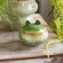 Prodotto Statuetta decorativa a forma di rana per una decorazione giocosa della casa e del giardino, verde, 11 cm, 2 pezzi