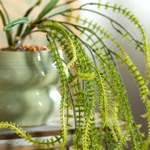 Prodotto Pianta artificiale di miglio verde setoloso per eleganti decorazioni sospese, eleganti accenti per la stanza, 114 cm