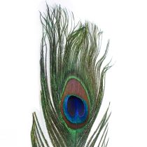 Piume decorative di piume di pavone per realizzare piume di uccelli H78cm 10 pezzi