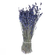 Prodotto Fiori secchi decorativi di lavanda essiccata 25 cm 350 g 5 pezzi