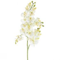 Phalaenopsis Orchidee Artificiali Fiori Artificiali Bianchi 70cm