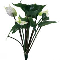 Fiori artificiali, fiore di fenicottero, anthurium artificiale bianco 36 cm