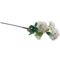 Prodotto Fiore artificiale pianta palla di neve Virburnum bianco Ø8cm 64cm