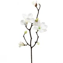Fiore artificiale magnolia ramo magnolia artificiale bianco 58 cm