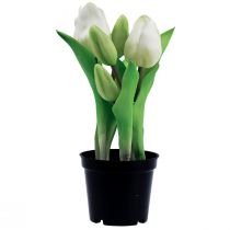 Prodotto Tulipani artificiali in vaso Tulipani bianchi fiori artificiali 22 cm