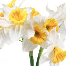 Prodotto Narcisi artificiali Fiori di seta bianchi Narcisi 40 cm 3 pezzi