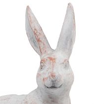 Prodotto Coniglio seduto coniglio decorativo pietra artificiale bianco marrone 15,5x8,5x22 cm