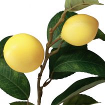 Prodotto Ramo di limone decorativo con 6 limoni artificiali 100 cm