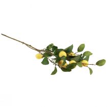 Prodotto Ramo di limone artificiale con 6 limoni decorativi, decorazione estiva mediterranea, 100 cm, giallo-verde