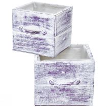 Prodotto Cassetto per piante con manico in legno bianco viola 12/15 cm set da 2
