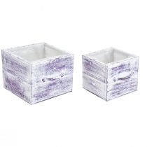 Prodotto Cassetto per piante con manico in legno bianco viola 12/15 cm set da 2