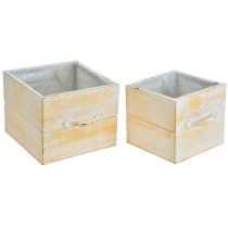 Prodotto Cassetto per piante con manico in legno bianco arancio 12/15 cm set da 2