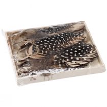 Prodotto Ciondolo decorativo in piuma di legno piuma naturale 9,5/10 cm 9 pz