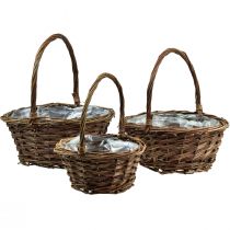 Prodotto Cesto con manico cesto per piante rotondo Ø27/23/19 cm set da 3