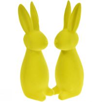 Prodotto Coniglietti pasquali floccati giallo-verde – 2a scelta – 8×10×29cm 2 pezzi