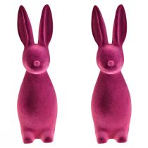 Prodotto Coniglietti pasquali viola decorativi – 2a scelta – floccati 8×10×29cm 2 pezzi
