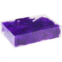 Prodotto Piume decorative piccole vere piume di uccelli decorative viola 5-10 cm 10 g