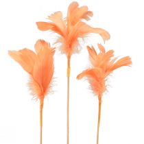 Piume decorative piume di uccello arancioni su bastoncino 36 cm 12 pezzi