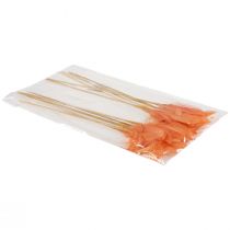 Prodotto Piume decorative piume di uccello arancioni su bastoncino 36 cm 12 pz