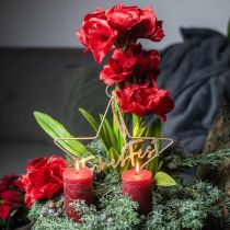 Amaryllis artificiale rosso 3 fiori di seta su palline di muschio H64cm
