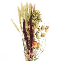 Bouquet di fiori secchi fiori di paglia arancio viola 55cm 70g