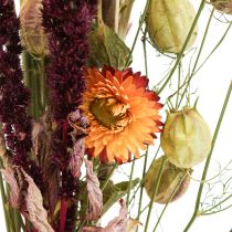 Prodotto Bouquet di fiori secchi fiori di paglia arancio viola 55cm 70g