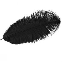 Prodotto Decorazione Piume di Struzzo Piume Nere 32-35 cm 4 pz