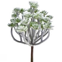 Prodotto Stonecrop Piante grasse artificiali Piante artificiali 16cm 4 pz