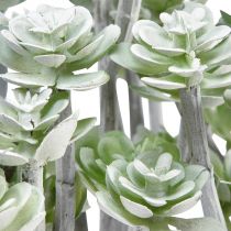 Prodotto Stonecrop Piante grasse artificiali Piante artificiali 16cm 4 pz