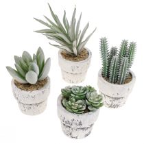Piante grasse artificiali in vaso piante artificiali verde Ø4cm 12pz