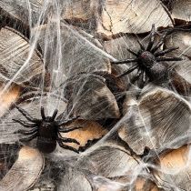 Prodotto Ragno, pipistrello figure nere 10cm, 14cm 3 pezzi