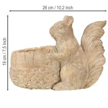 Prodotto Fioriera con decorazione scoiattolo Pietra fusa 26×14×19cm