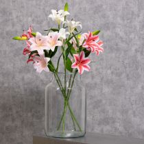 Prodotto Giglio artificiale per una decorazione elegante del soggiorno e un aspetto realistico, 67 cm, 2 pezzi