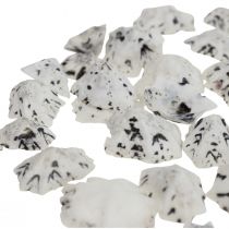 Shell Deco Conchiglie Bianco Nero Piccolo 1-2,5cm 250g